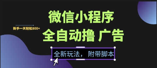 微信小程序全自动撸广告项目，彻底解决没流量的问题，新手一天8张+跨境课程-外贸教程-精品网课-电商运营课库课堂