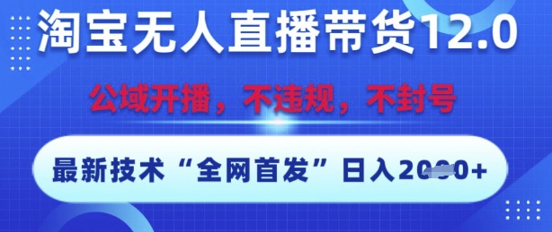 淘宝无人直播带货12.0，最新技术，不封号，不违规，操作简单，开播爆单，日入多张跨境课程-外贸教程-精品网课-电商运营课库课堂