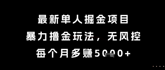 最新单人掘金项目，暴力撸金玩法，无风控，每个月多挣5k+跨境课程-外贸教程-精品网课-电商运营课库课堂