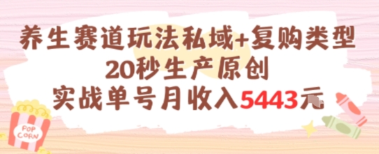 养生赛道玩法私域+复购类型，20秒生产原创实战单号月收入5k+跨境课程-外贸教程-精品网课-电商运营课库课堂