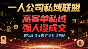 一人公司私域联盟，高客单私域，强人设成交，建私域 搞发售 广结盟 造势能跨境课程-外贸教程-精品网课-电商运营课库课堂