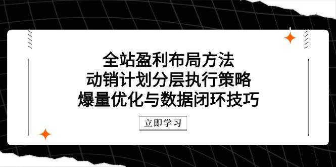 全站盈利布局方法：动销计划分层执行策略，爆量优化与数据闭环技巧跨境课程-外贸教程-精品网课-电商运营课库课堂