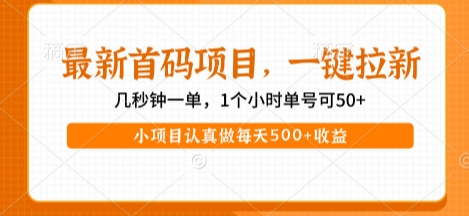 最新首码项目，操作最简单，收益高，一键拉新，1个小时单号可50+，小项目认真做每天5张+收益跨境课程-外贸教程-精品网课-电商运营课库课堂