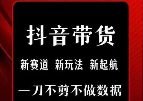 抖音短视频一刀不剪带货，不剪辑，不直播，每天发个视频，等着出单获取带货佣金跨境课程-外贸教程-精品网课-电商运营课库课堂