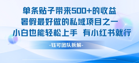 单条贴子带来5张的收益，暑假最好做的私域项目之一，小白也能轻松上手，有小红书就行跨境课程-外贸教程-精品网课-电商运营课库课堂