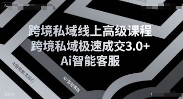 跨境私域线上高级课程，跨境私域极速成交3.0+Ai智能客服跨境课程-外贸教程-精品网课-电商运营课库课堂
