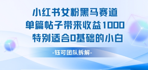 小红书女粉黑马赛道单篇帖子带来收益1k+，特别适合0基础的小白跨境课程-外贸教程-精品网课-电商运营课库课堂