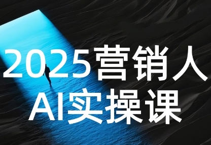 2025营销人Al实操课，AI营销抢跑实战，从Prompt到方案，效率碾压同行跨境课程-外贸教程-精品网课-电商运营课库课堂