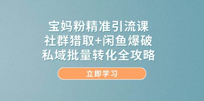 宝妈粉精准引流课，社群猎取+闲鱼爆破，私域批量转化全攻略跨境课程-外贸教程-精品网课-电商运营课库课堂