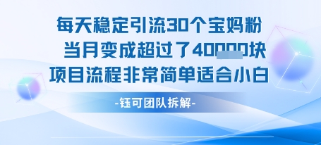 每天稳定引流30个人 当月变成超过了4个W项目流程非常简单适合小白跨境课程-外贸教程-精品网课-电商运营课库课堂
