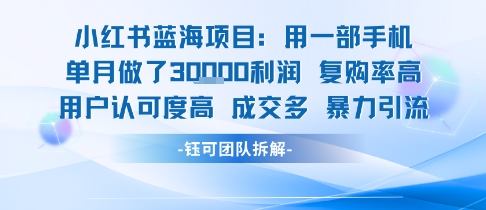 小红书蓝海项目，一部手机单月做了3W利润，小白也能月入过1W用户认可度高成交多跨境课程-外贸教程-精品网课-电商运营课库课堂