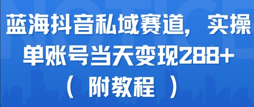 蓝海抖音私域赛道，实操单账号当天变现288+(附教程)跨境课程-外贸教程-精品网课-电商运营课库课堂