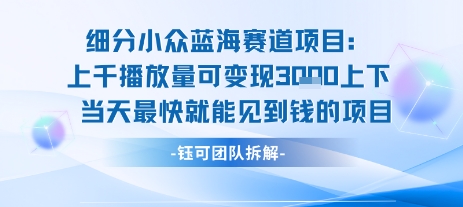小众蓝海赛道项目：当天变现1k+适合新手操作 +适合长期玩跨境课程-外贸教程-精品网课-电商运营课库课堂