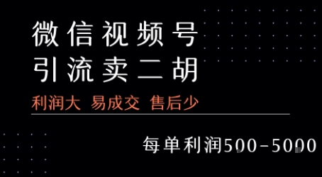 视频号卖二胡教程，利润大 易成交 售后少，一单利润5张+跨境课程-外贸教程-精品网课-电商运营课库课堂