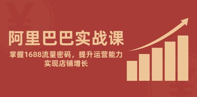 阿里巴巴实战课：掌握1688流量密码，提升运营能力，实现店铺增长跨境课程-外贸教程-精品网课-电商运营课库课堂