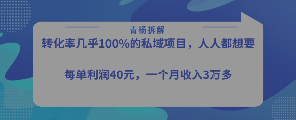 转化率最高的私域项目，每单利润40-50米，月入过1w跨境课程-外贸教程-精品网课-电商运营课库课堂
