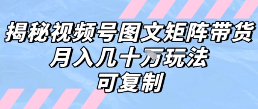 解密视频号图文矩阵带货，月入几个W的打法，可复制跨境课程-外贸教程-精品网课-电商运营课库课堂