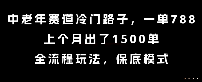 中老年赛道冷门路子，一单788，上个月出了1500单，全流程玩法，保底模式跨境课程-外贸教程-精品网课-电商运营课库课堂