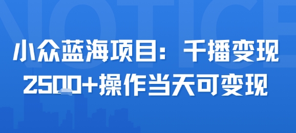 小众蓝海项目，千播变现2.5k+操作当天可变现跨境课程-外贸教程-精品网课-电商运营课库课堂