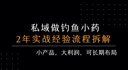 私域做钓鱼小药 每单利润3张+ 详细流程拆解跨境课程-外贸教程-精品网课-电商运营课库课堂