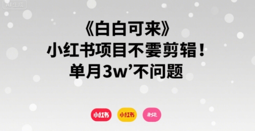 小白可来 小红书项目不需要剪辑 单月3w不是问题跨境课程-外贸教程-精品网课-电商运营课库课堂