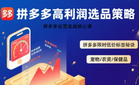 拼多多选品暴利技术实战课，拼多多高利润选品策略，拼多多限时低价标签秘诀跨境课程-外贸教程-精品网课-电商运营课库课堂