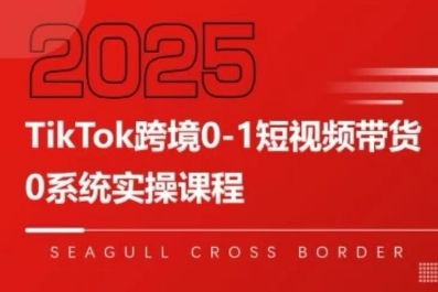 TikTok跨境0-1短视频带货，系统拆解TikTok跨境带货全链路，实现跨境可持续盈利跨境课程-外贸教程-精品网课-电商运营课库课堂