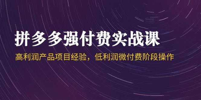 拼多多强付费实战课-44期，高利润产品项目经验，低利润微付费阶段操作跨境课程-外贸教程-精品网课-电商运营课库课堂