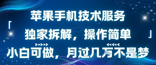 苹果手机技术服务，独家拆解，操作简单，小白可做，月过1W不是梦跨境课程-外贸教程-精品网课-电商运营课库课堂