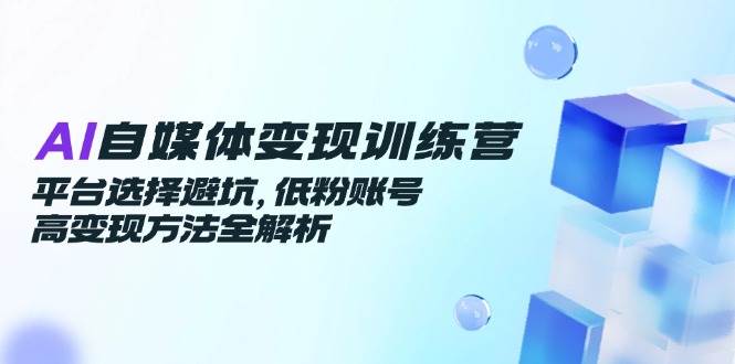 AI自媒体变现训练营，平台选择避坑，低粉账号高变现方法全解析跨境课程-外贸教程-精品网课-电商运营课库课堂