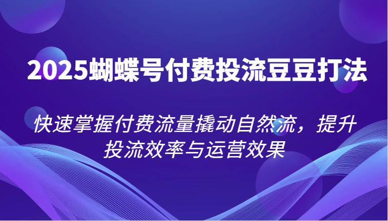 2025蝴蝶号付费投流豆豆打法，快速掌握付费流量撬动自然流，提升投流效率与运营效果跨境课程-外贸教程-精品网课-电商运营课库课堂