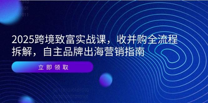 2025跨境致富实战课，收并购全流程拆解，自主品牌出海营销指南跨境课程-外贸教程-精品网课-电商运营课库课堂