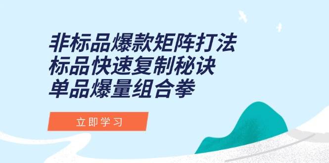 非标品爆款矩阵打法，标品快速复制秘诀，单品爆量组合拳跨境课程-外贸教程-精品网课-电商运营课库课堂