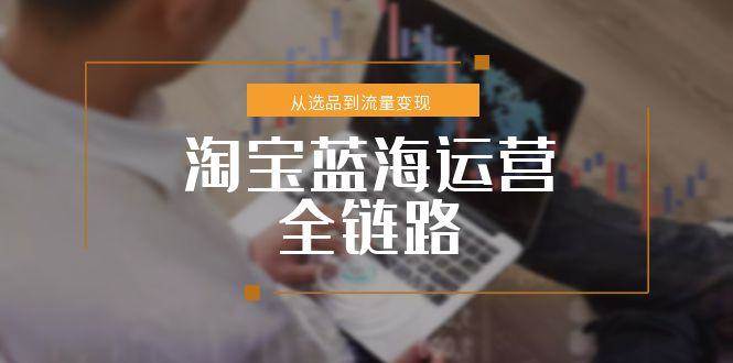 淘宝蓝海运营全链路，从选品到流量变现，小类目突围完整方案跨境课程-外贸教程-精品网课-电商运营课库课堂