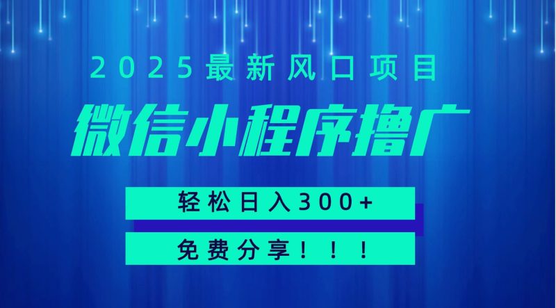 微信小程序撸广，最新风口项目，日入300+ 免费分享 可批量操作 小白可轻松上手！！跨境课程-外贸教程-精品网课-电商运营课库课堂