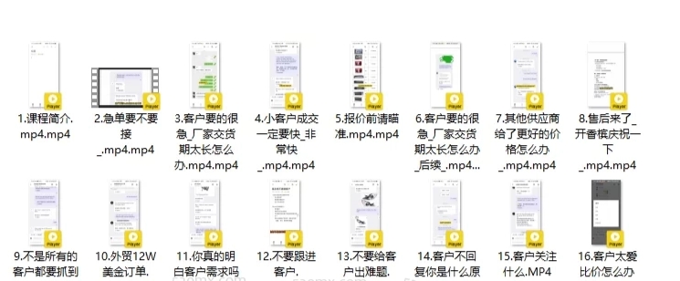 ISA 杂家询盘案例分析课程 外贸实战策略与高效成交指南-课库课堂