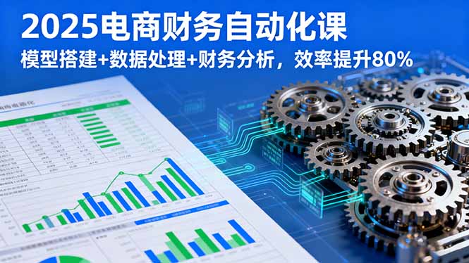 2025电商财务自动化课，模型搭建+数据处理+财务分析，效率提升80%跨境课程-外贸教程-精品网课-电商运营课库课堂