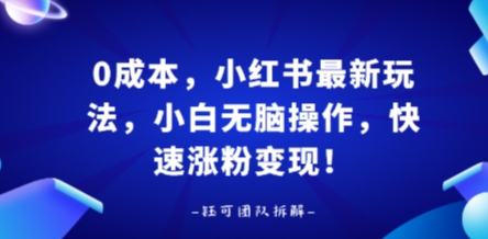 0成本，小红书最新玩法，小白无脑操作，快速涨粉变现跨境课程-外贸教程-精品网课-电商运营课库课堂