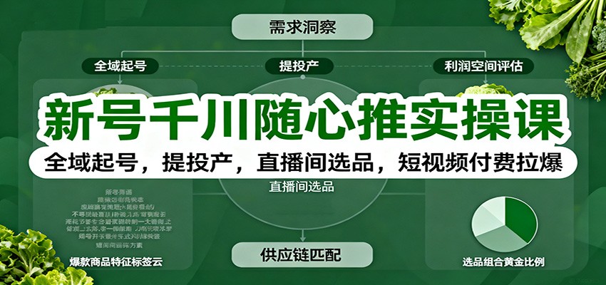 新号千川随心推实操课：全域起号，提投产，直播间选品，短视频付费拉爆跨境课程-外贸教程-精品网课-电商运营课库课堂