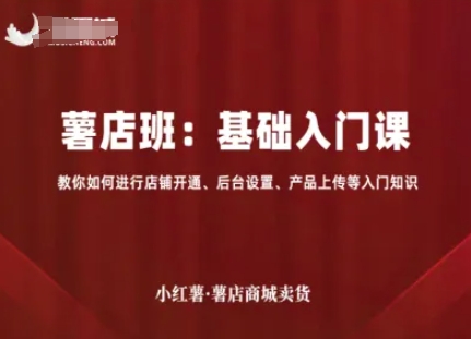 小红薯薯店商城卖货,基础入门课,教你如何进行店铺开通、后台设置、产品上传等入门知识跨境课程-外贸教程-精品网课-电商运营课库课堂
