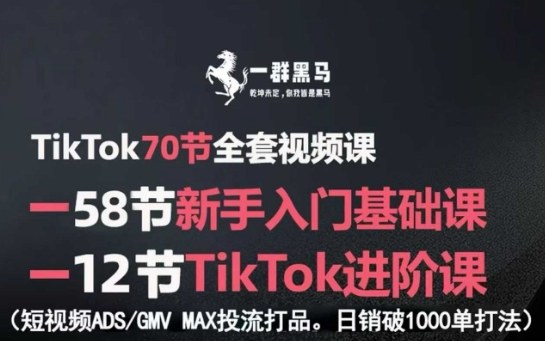 TikTok全套视频课,新手入门+进阶课,短视频ADS-GMV MAX投流打品,日销破1000单打法跨境课程-外贸教程-精品网课-电商运营课库课堂