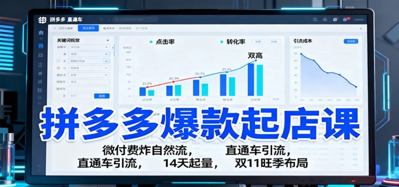 拼多多爆款起店课:微付费炸自然流,直通车引流,14天起量,双11旺季布局跨境课程-外贸教程-精品网课-电商运营课库课堂