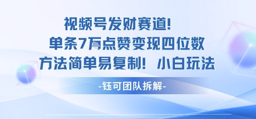 视频号发财赛道单条7W点赞变现四位数方法简单易复制小白玩法跨境课程-外贸教程-精品网课-电商运营课库课堂