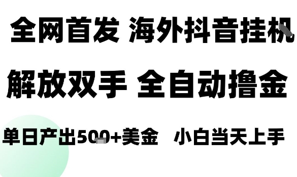 海外抖音无人直播，单日产出1.5k+，长期稳定，新手可玩，无脑操作跨境课程-外贸教程-精品网课-电商运营课库课堂