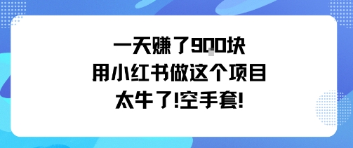 一天挣了9张用小红书做这个项目太牛了，空手套跨境课程-外贸教程-精品网课-电商运营课库课堂