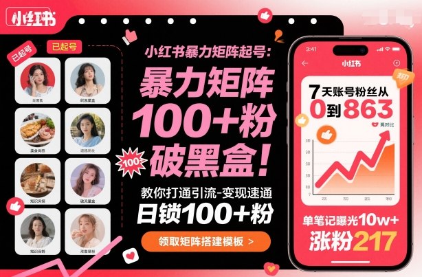小红书暴力矩阵起号,教你打通引流-变现速通,日锁100+粉,破流量黑盒跨境课程-外贸教程-精品网课-电商运营课库课堂