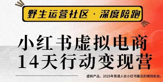 小红书虚拟电商14天变现训练营3.0，​虚拟产品，2025年普通人在小红书最后的搞钱机会跨境课程-外贸教程-精品网课-电商运营课库课堂