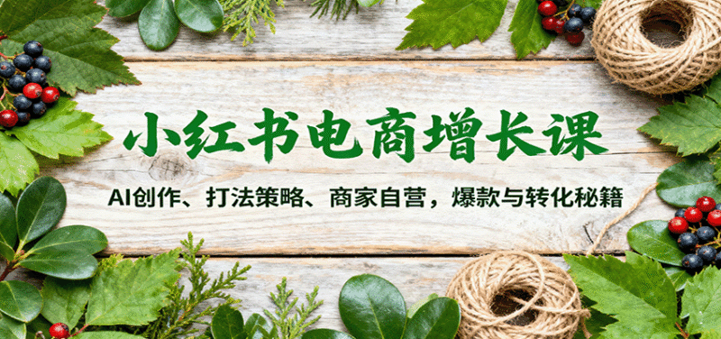 小红书电商增长课：AI创作、打法策略、商家自营，爆款与转化秘籍跨境课程-外贸教程-精品网课-电商运营课库课堂
