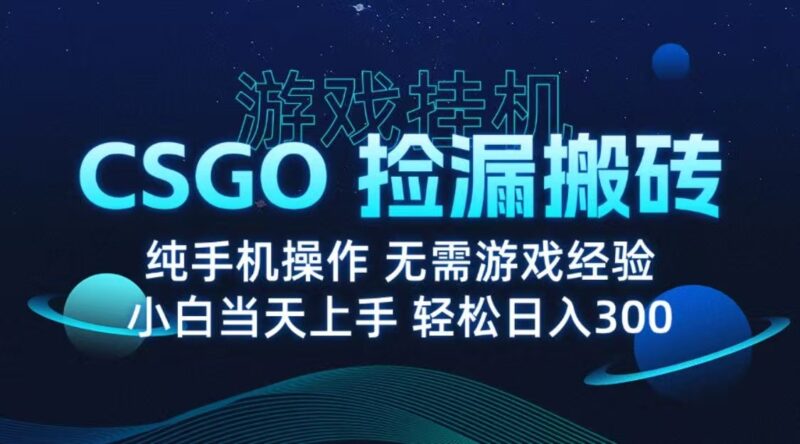 9月最新游戏搬砖,CSGO纯挂机,不需要玩游戏,实现真挂机,月入1W+跨境课程-外贸教程-精品网课-电商运营课库课堂