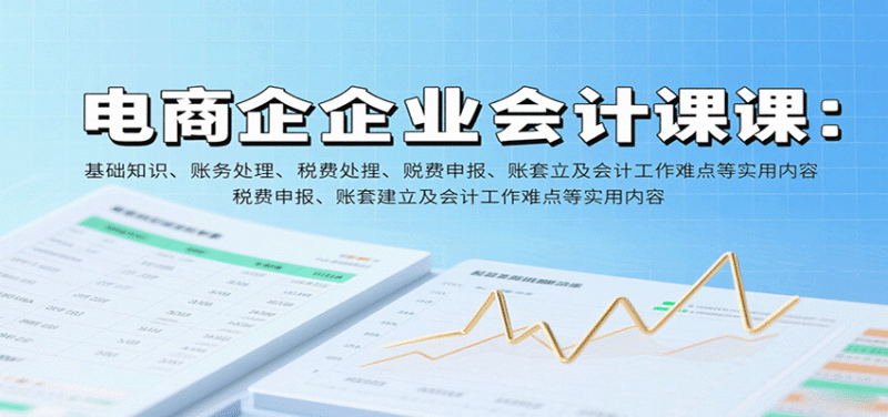 电商企业会计课:基础知识、账务处理、税费申报、账套建立及会计工作难点等实用内容跨境课程-外贸教程-精品网课-电商运营课库课堂